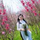 Du Lịch Miền Bắc