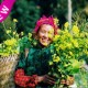 Du Lịch Tây Bắc
