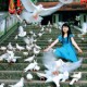 Du Lịch Xuyên Việt