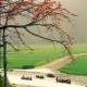 Du Lịch Miền Bắc