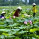 Du Lịch Tiền Giang