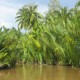 Du Lịch Cần Thơ