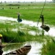 Du Lịch Vĩnh Long