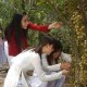Du Lịch Mỹ Tho