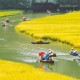 Du Lịch Ninh Bình