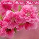 Du Lịch Miền Bắc