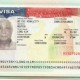 Dich vu lam visa di chua benh tai My gia re