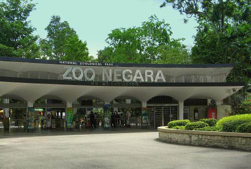 Zoo Negara Vé máy bay đi Malaysia