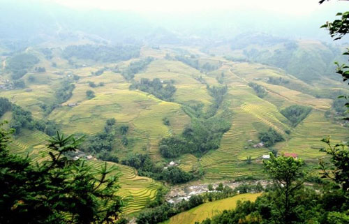 Tour du lịch sapa