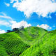 du lich malaysia