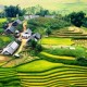 Post image for Tour du lịch nào thích hợp cho đại gia đình?