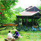 Du Lịch Cần Thơ
