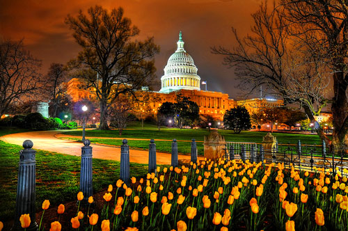 Đặt vé máy bay đi Washington