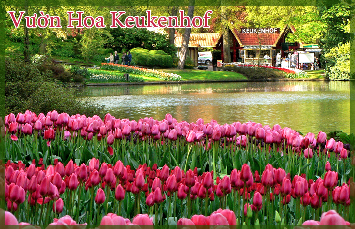 Chương trình Du lịch Châu Âu 2015 trọn gói giá tốt nhất - 14