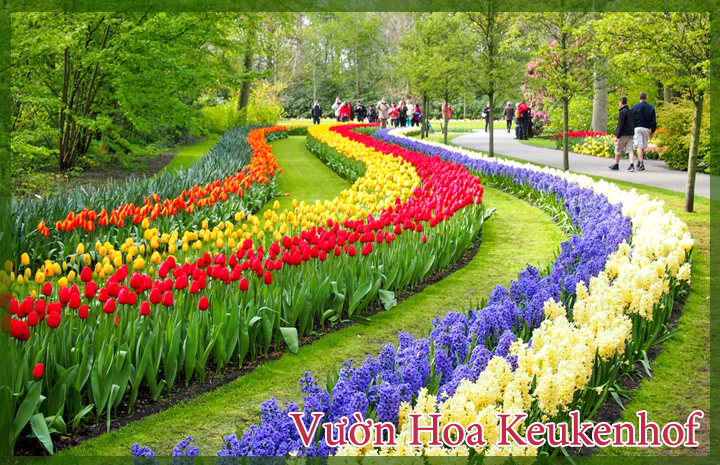 Chương trình Du lịch Châu Âu 2015 trọn gói giá tốt nhất - 15