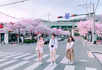Du lịch Hàn Quốc mùa Hoa Anh Đào - Busan - Seoul - Đảo Nami từ Sài Gòn 2024