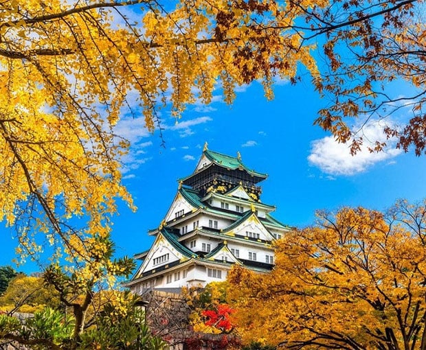TOUR NHẬT BẢN MÙA THU 5N5Đ | OSAKA - KOBE - KYOTO - YAMANASHI - FUJI - TOKY