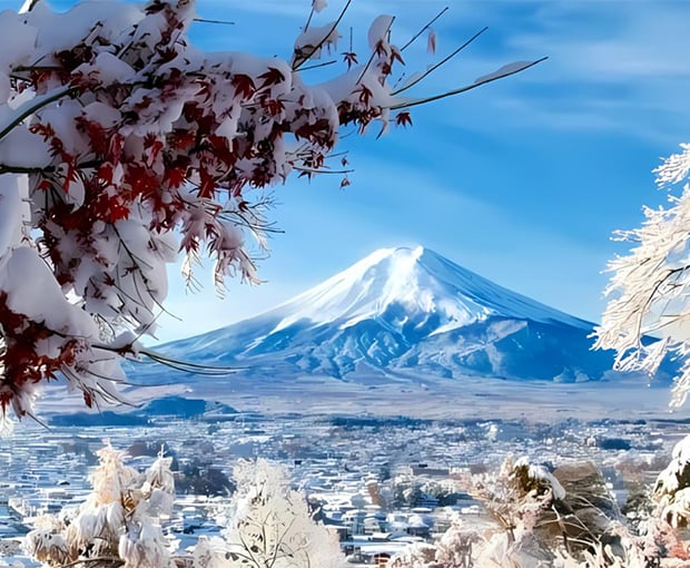 TOUR NHẬT BẢN MÙA ĐÔNG 5N5Đ | OSAKA - KOBE - KYOTO - YAMANASHI - FUJI - TOKYO BAY VIETNAM AIRLINES