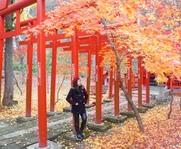 TOUR NHẬT BẢN MÙA THU 5N4Đ | SAPPORO - NOBORIBETSU - TOYA - OTARU