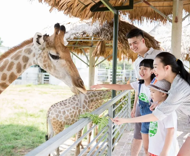 TOUR THÁI LAN MÙA THU 5N4Đ | CHECK-IN BIỂN JOMTIEN - CHỢ NỔI - SAFARI WORLD