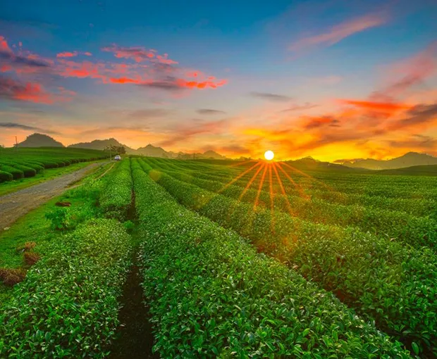 TOUR MIỀN BẮC MÙA THU 4N3Đ | TOUR MIỀN BẮC MÙA THU 4N3Đ | HÀ NỘI - MAI CHÂU - MỘC CHÂU - NINH BÌNH - BẢO TÀNG QUÂN SỰ VIỆT NAM ( Trải Nghiệm Cầu Kính Bạch Long)