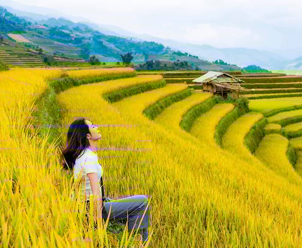 Du lịch Tây Bắc - Hà Nội - Mộc Châu - Mù Cang Chải - Sapa từ Sài Gòn 2025