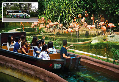 Free and Easy - Tham quan Singapore River Safari có đưa đón 2 chiều