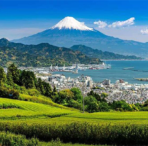 Du lịch Nhật Bản Hè - Tokyo - Fuji Mountain - Nagoya - Kyoto - Osaka từ Hà Nội 2024