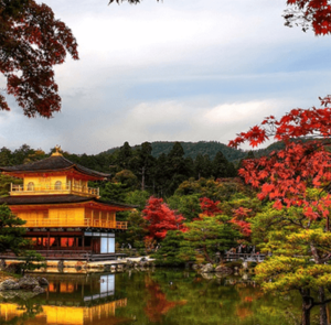 Du lịch mùa Thu - Tour Nhật Bản Osaka - Nara - Kyoto - Fuji Moutain - Oshino Hakkai - Tokyo từ Hà Nội