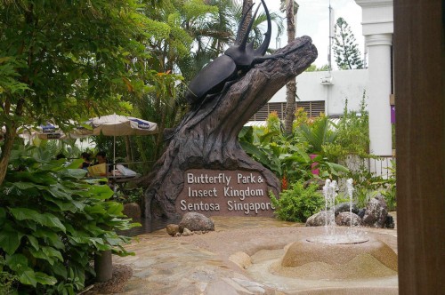 butterfly park & insect kingdom