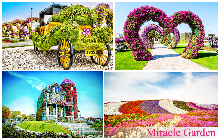 miracle-garden_du-lich-viet