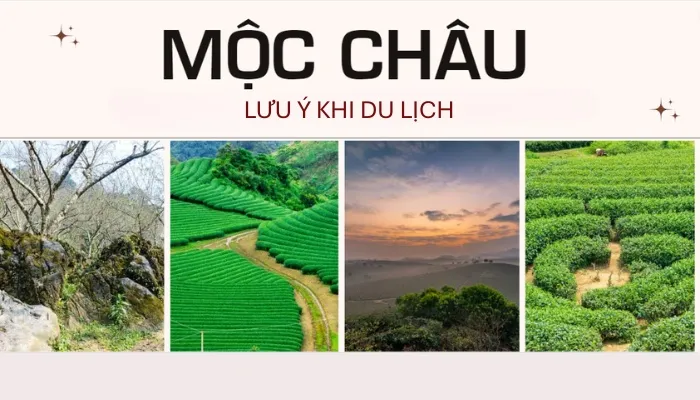 Lưu ý khi du lịch Mộc Châu