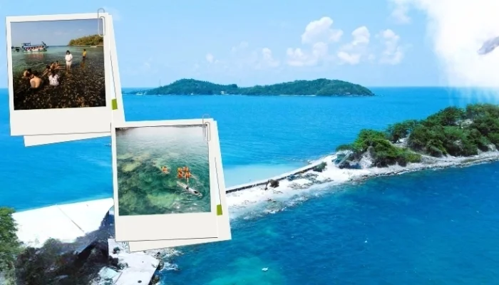 FAQ về tour trong nước