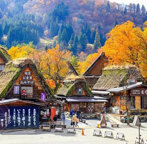 Tour Nhật Bản Mùa Thu 4N3Đ | Làng Cổ Shirakawago - Shiga - Kyoto - Osaska