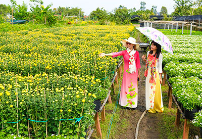 Du lịch Đồng Tháp - Làng hoa Sa Đéc - Tràm chim Tam Nông - Đồng sen tháp mười từ Sài Gòn