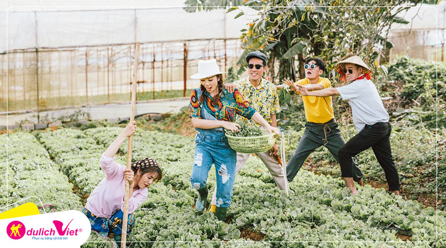 Du lịch Đà Lạt tham quan trang trại rau và hoa 3 ngày từ Sài Gòn giá tốt