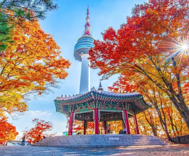 TOUR HÀN QUỐC MÙA THU 5N4Đ | HÀ NỘI - SEOUL - NAMI - EVERLAND - THƯ VIỆN SÁCH - HÁI TÁO