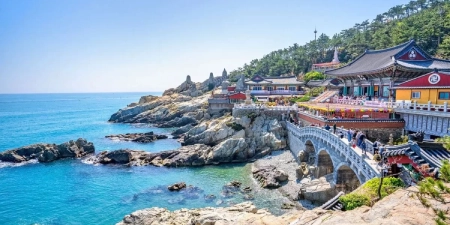 TOUR HÀN QUỐC MÙA THU 6N5Đ | HÀ NỘI - BUSAN - SEOUL - ĐẢO NAMI - INCHEON - ĐI PHÀ CHO HẢI ÂU ĂN (BAY VIETJET AIR)