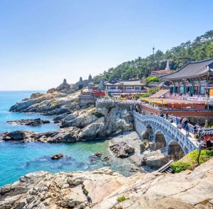 TOUR HÀN QUỐC MÙA THU 6N5Đ | HÀ NỘI - BUSAN - SEOUL - ĐẢO NAMI - INCHEON - ĐI PHÀ CHO HẢI ÂU ĂN