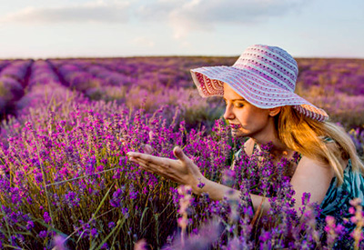 Du lịch Châu Âu mùa Hoa Lavender - Tour Pháp - Monaco - Tây Ban Nha - Bồ Đào Nha từ Sài Gòn 2025