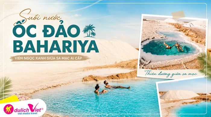Suối nước ốc đảo – một trong những nguồn nước hiếm hoi duy trì sự sống cho vùng sa mạc khô cằn.
