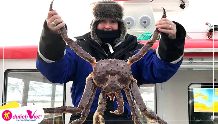 King Crab Safari 