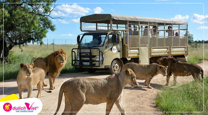 Tham quan Safari vườn thú hoang dã