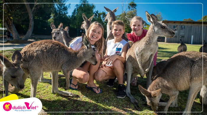 Symbio Wildlife Park