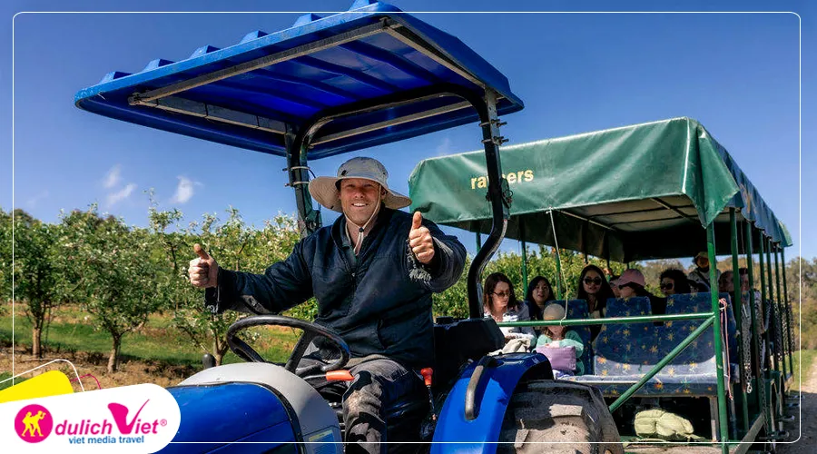 TOUR ÚC MÙA HÈ 5N4Đ | MELBOURNE CITY - GREAT OCEAN - DANDENONG (Trải nghiệm tàu hơi nước Puffing Billy)