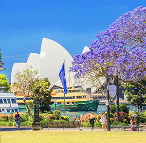 Du lịch Úc - Sydney - Melbourne mùa Hoa Phượng Tím 6N5Đ từ Sài Gòn 2025