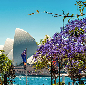 Du lịch Úc mùa Xuân - Sydney - Blue Mountains 1 ngày tự do từ Sài Gòn 2024