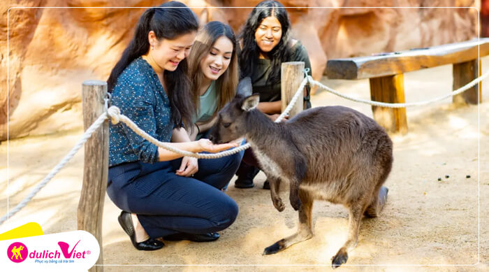 Vườn thú Sydney (Đã bao gồm vé) với hơn 4.000 loài động vật bao gồm các loài động vật quý hiếm 