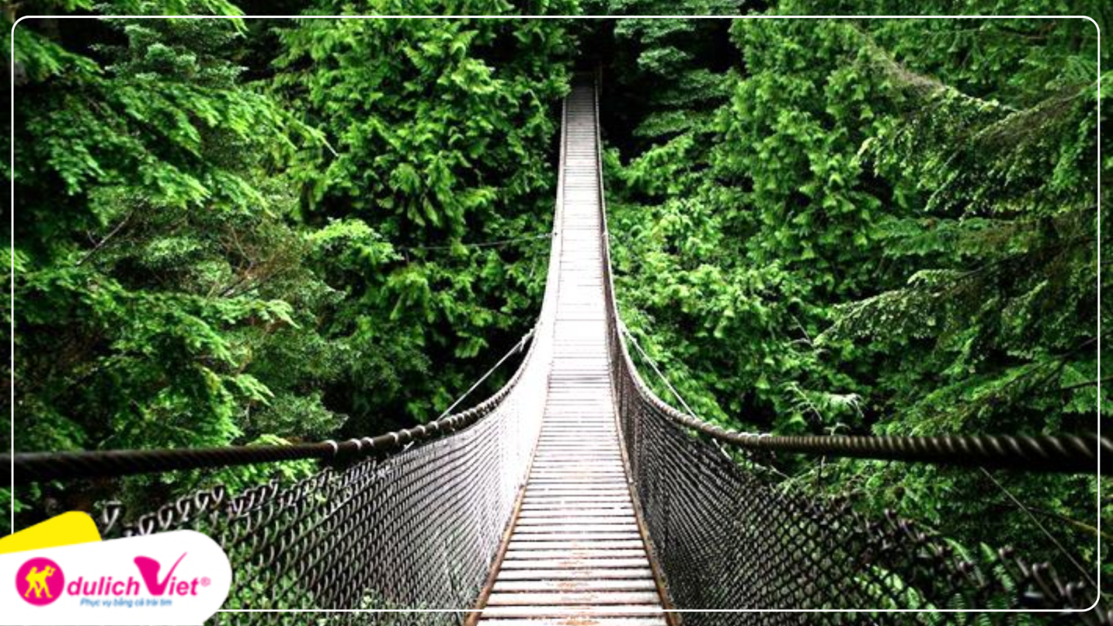 Tour du lịch Châu Mỹ tham quan cầu treo Capilano