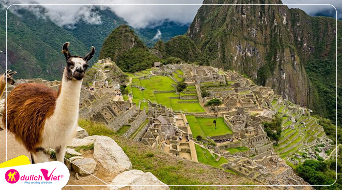 Khám phá thành cổ Machu Picchu